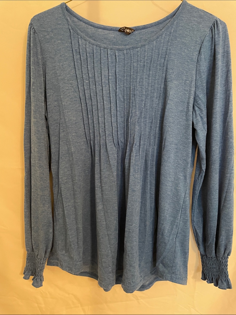 Blue Pintuck Long-Sleeve Top with Smocked Cuffs